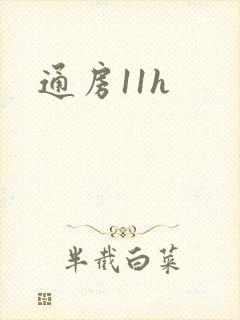 通房11h