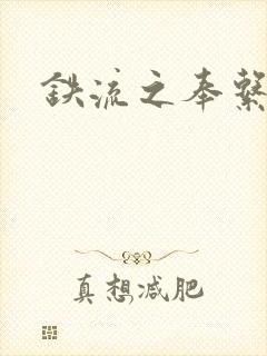 铁流之奉系军阀封面