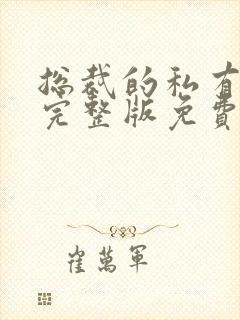 总裁的私有宝贝完整版免费阅读