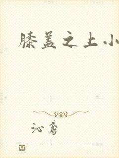 膝盖之上小说