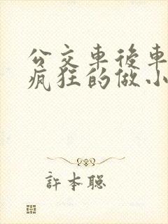 公交车后车座的疯狂的做小封面