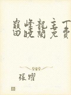 巅峰龙主丁长顺田晓兰免费阅读