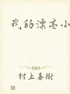 我的漂亮小后妈
