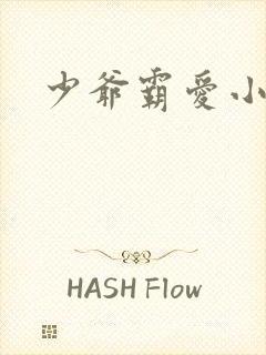 少爷霸爱小丫头