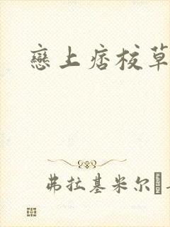 恋上痞校草封面