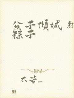 公子倾城 维和粽子封面