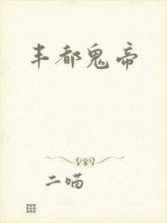 丰都鬼帝封面
