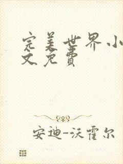 完美世界小说全文免费封面