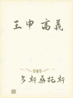 王申 高义