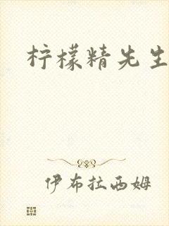 柠檬精先生
