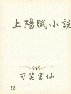 上阳赋小说