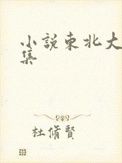 小说东北大炕全集