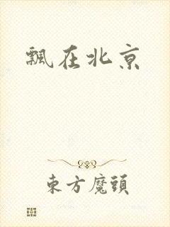 飘在北京