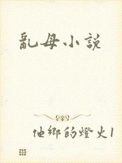 乱母小说