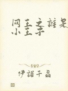 网王之谁是我的小王子
