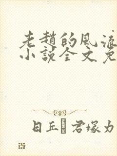 老赵的风流人生小说全文免费阅读