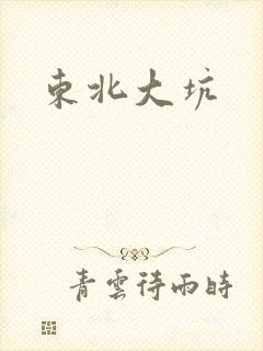 东北大坑封面