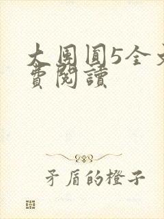 大团圆5全文免费阅读
