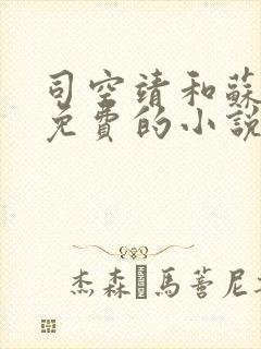 司空靖和苏月汐免费的小说笔趣阁