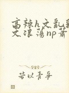高辣h文乱乳h文浪荡np萧太后