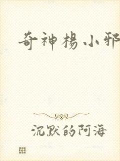 奇神杨小邪封面