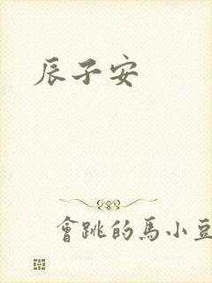 辰子安封面