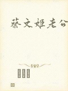 蔡文姬老公封面
