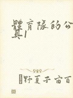 体育队的公用玩具1