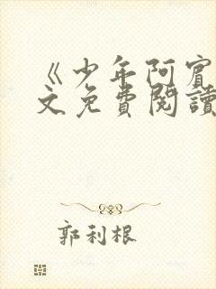《少年阿宾》全文免费阅读