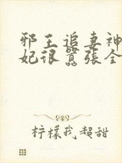 邪王追妻神医狂妃很嚣张全文免费