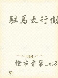 驻马太行侧