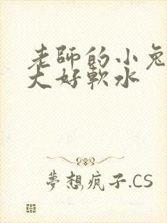 老师的小兔子好大好软水
