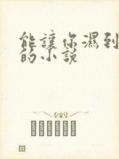 能让你湿到不行的小说