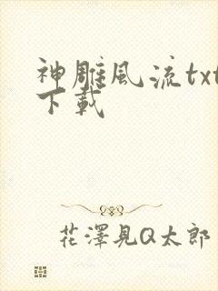 神雕风流txt下载