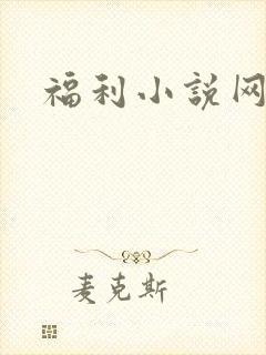 福利小说网