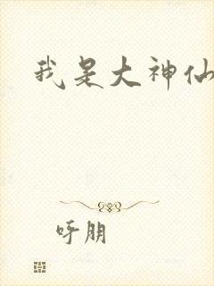 我是大神仙小说