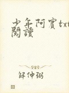 少年阿宾txt阅读封面