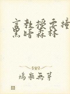 言教授要撞坏了黑暗森林