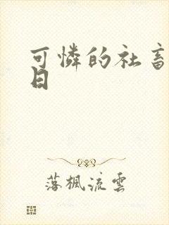 可怜的社畜东度日