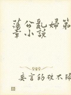 荡公乱妇第51章小说