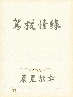 驾校情缘封面