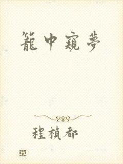 笼中窥梦封面