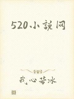 520小说网