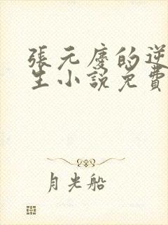 张元庆的逆袭人生小说免费阅读封面