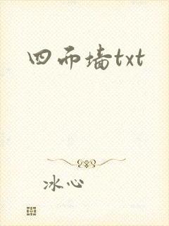 四面墙txt
