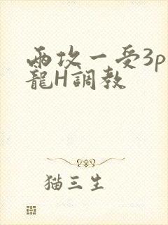 两攻一受3p双龙H调教