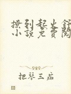 撩到起火舒漾的小说免费阅读全文