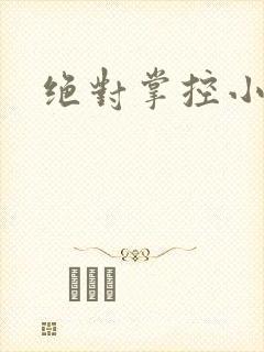 绝对掌控小说封面