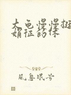 大龟慢慢挺进张娟征的休封面