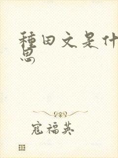 种田文是什么意思封面